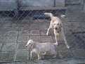 Click image for larger version

Name:	211120131004_117.jpg
Views:	784
Size:	58,6 KB
ID:	2081909