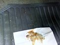 Click image for larger version

Name:	img_20140404_120130_133.jpg
Views:	1431
Size:	73,0 KB
ID:	2083103