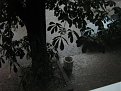 Click image for larger version

Name:	img_1867_145.jpg
Views:	2291
Size:	81,9 KB
ID:	2085539