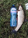 Click image for larger version

Name:	img_20151108_171938_634.jpg
Views:	842
Size:	195,2 KB
ID:	2090747