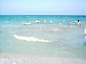 Click image for larger version

Name:	imag0005_173.jpg
Views:	1326
Size:	24,1 KB
ID:	2100786