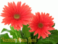 Click image for larger version

Name:	imen_den_img_1300_122.gif
Views:	855
Size:	210,2 KB
ID:	2120674