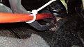 Click image for larger version

Name:	14052011434_r_802.jpg
Views:	562
Size:	121,8 KB
ID:	2130372